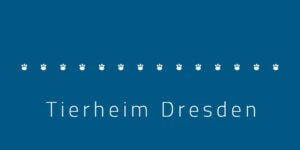 Read more about the article Tierheim Dresden