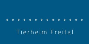 Read more about the article Tierheim „Tierschutzverein Freital und Umgebung e.V.“