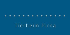 Read more about the article Tierheim „Tierschutzverein Pirna e.V.“