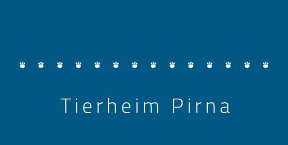 Tierheim Pirna