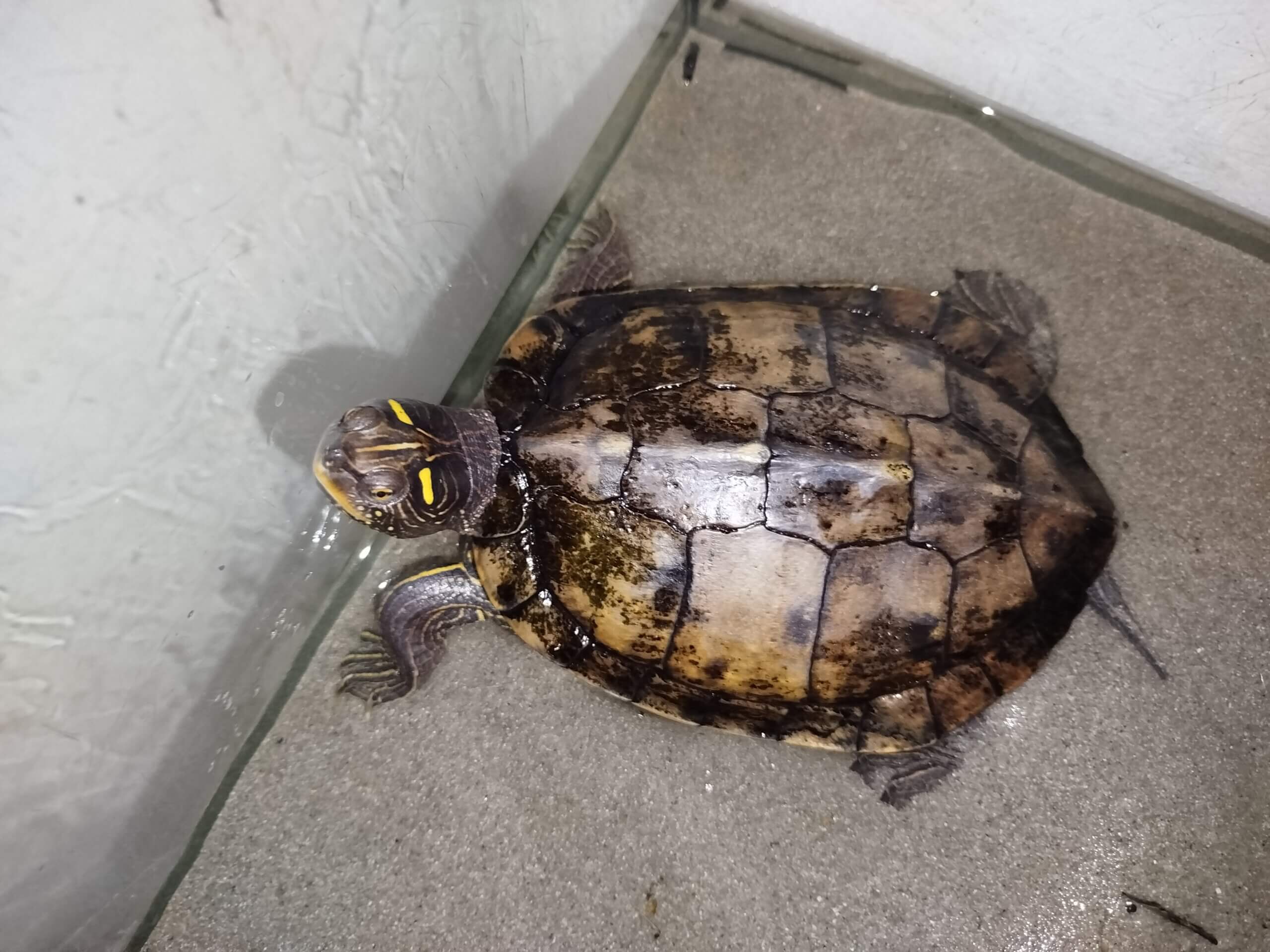 IMG 20250608 111858 scaled