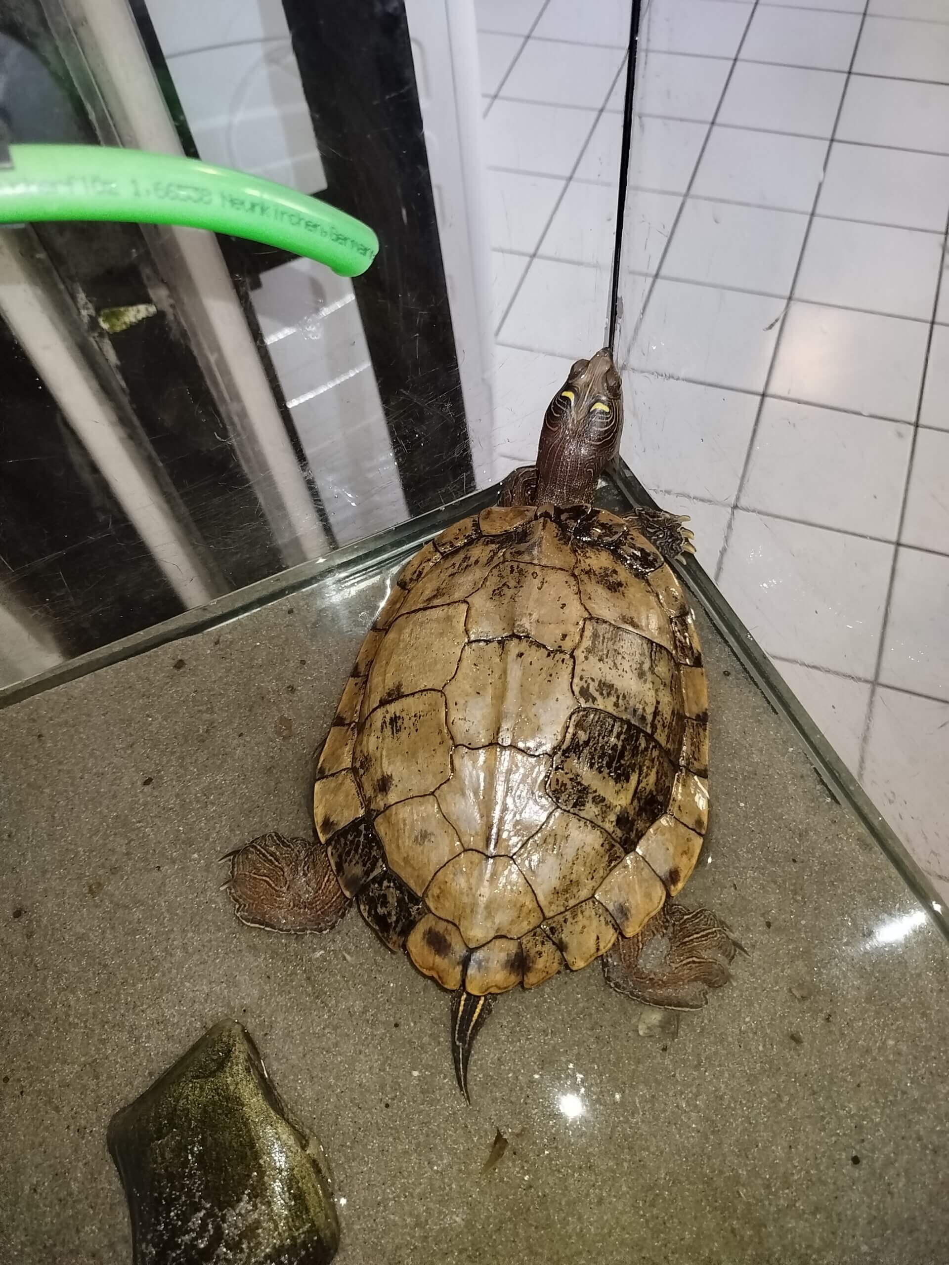 IMG 20250608 112428 scaled