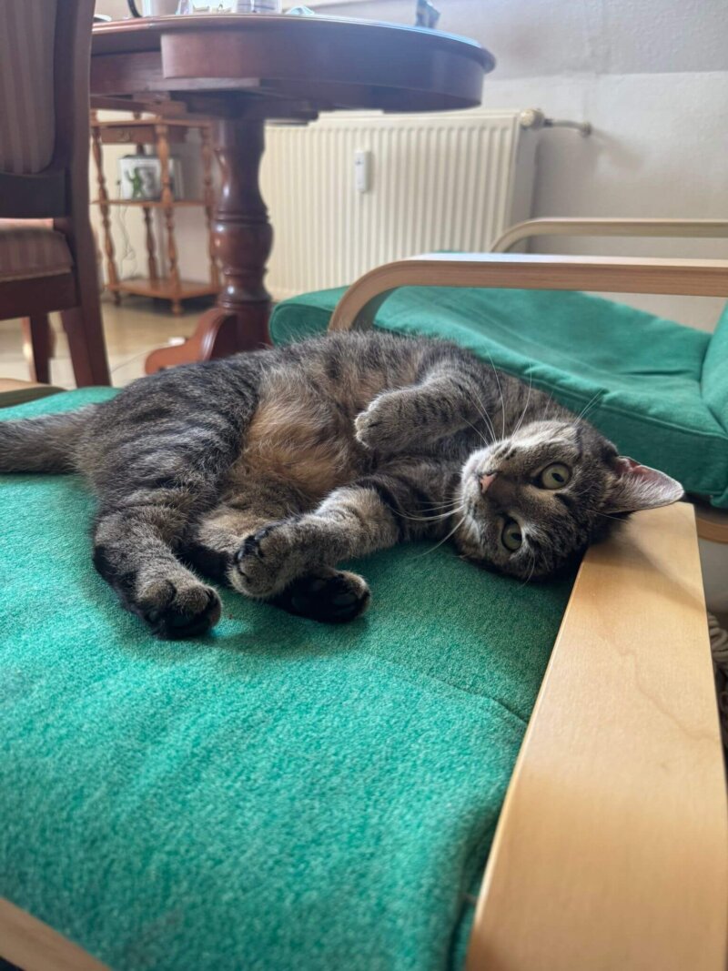 Jette wird vermisst