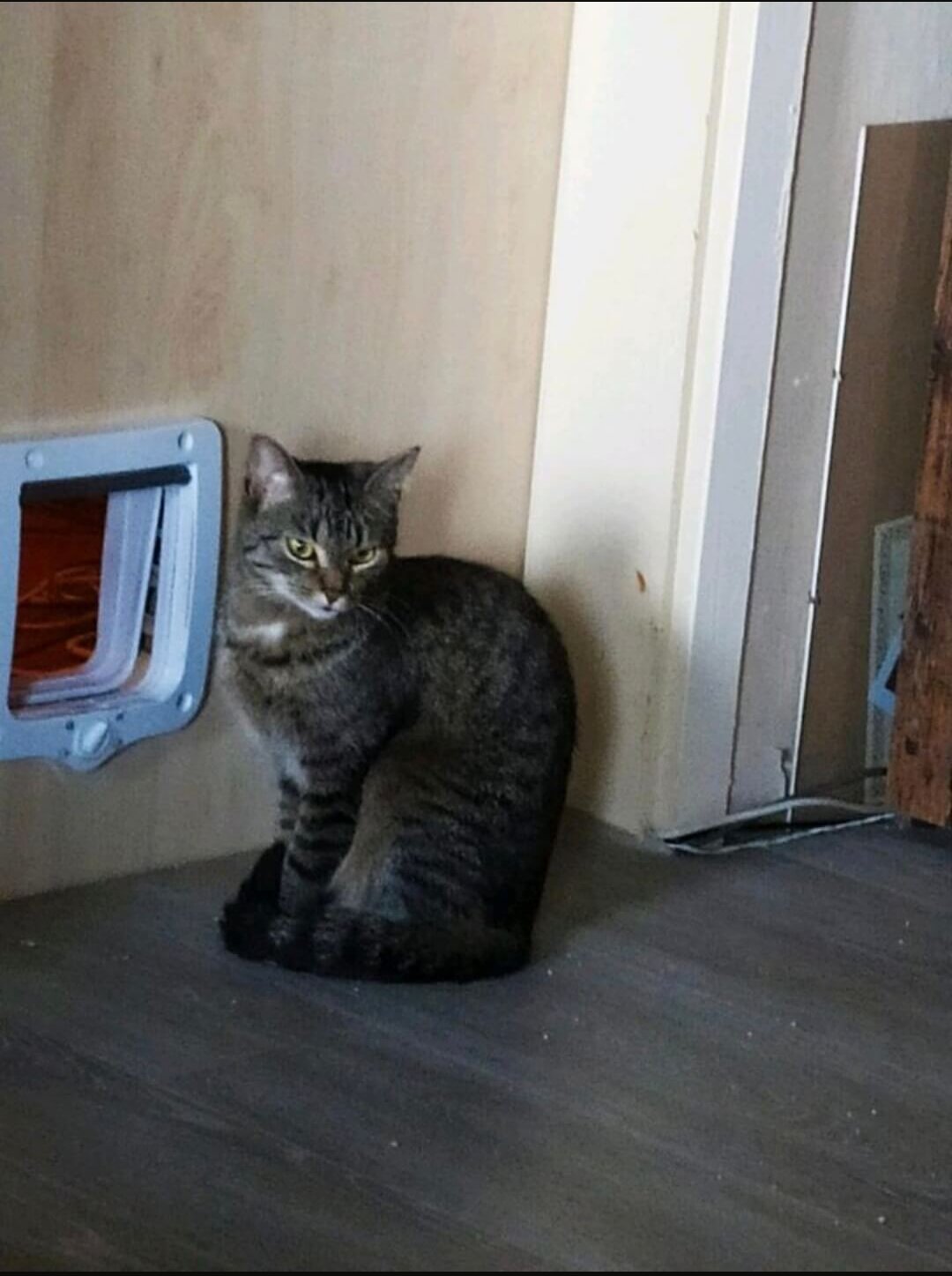 1000072667 e1760257121406