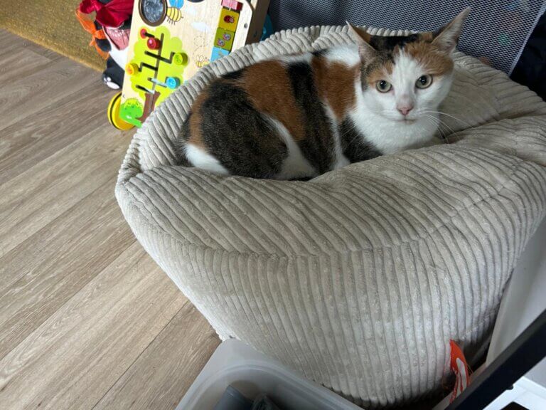 6f2dcd50 86a7 4eeb 9903 ce782e132f71