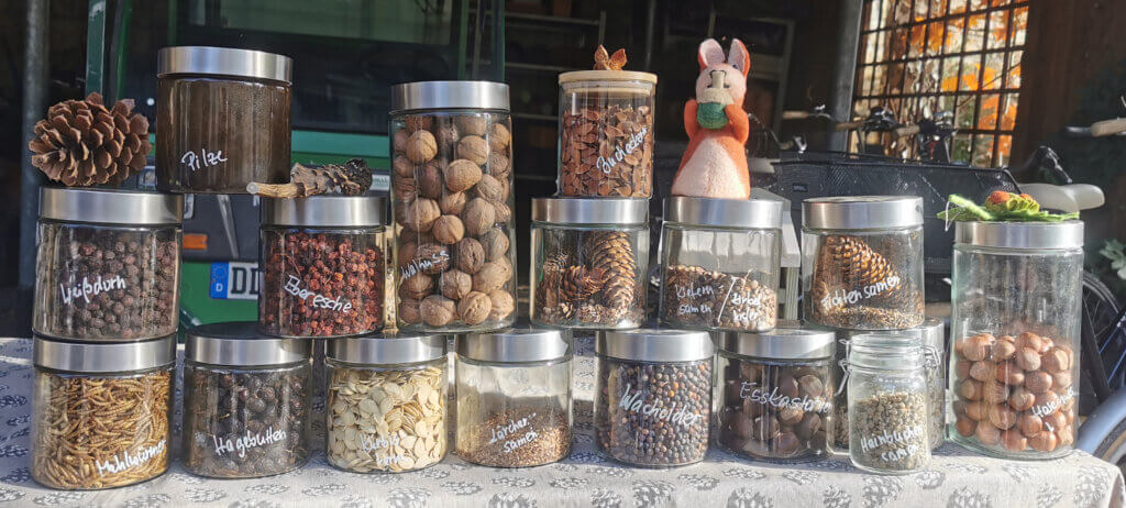 Artgerechtes Futter Eichhörnchen