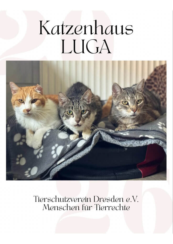 Vorschau Deckblatt Kalender