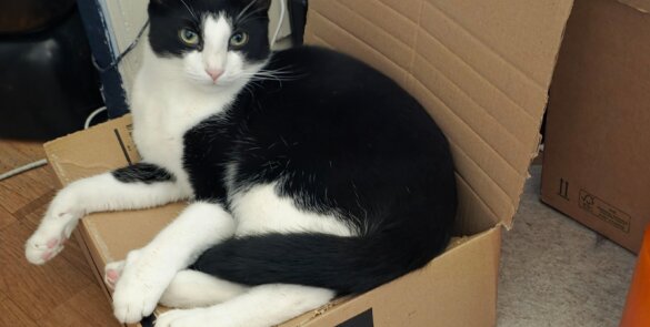 WhatsApp Image 2026 01 08 at 18.41.35