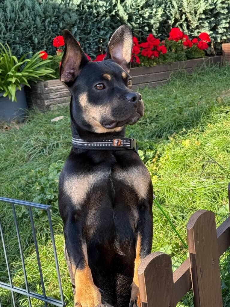 598546219 10214403154510290 475603586056306779 n