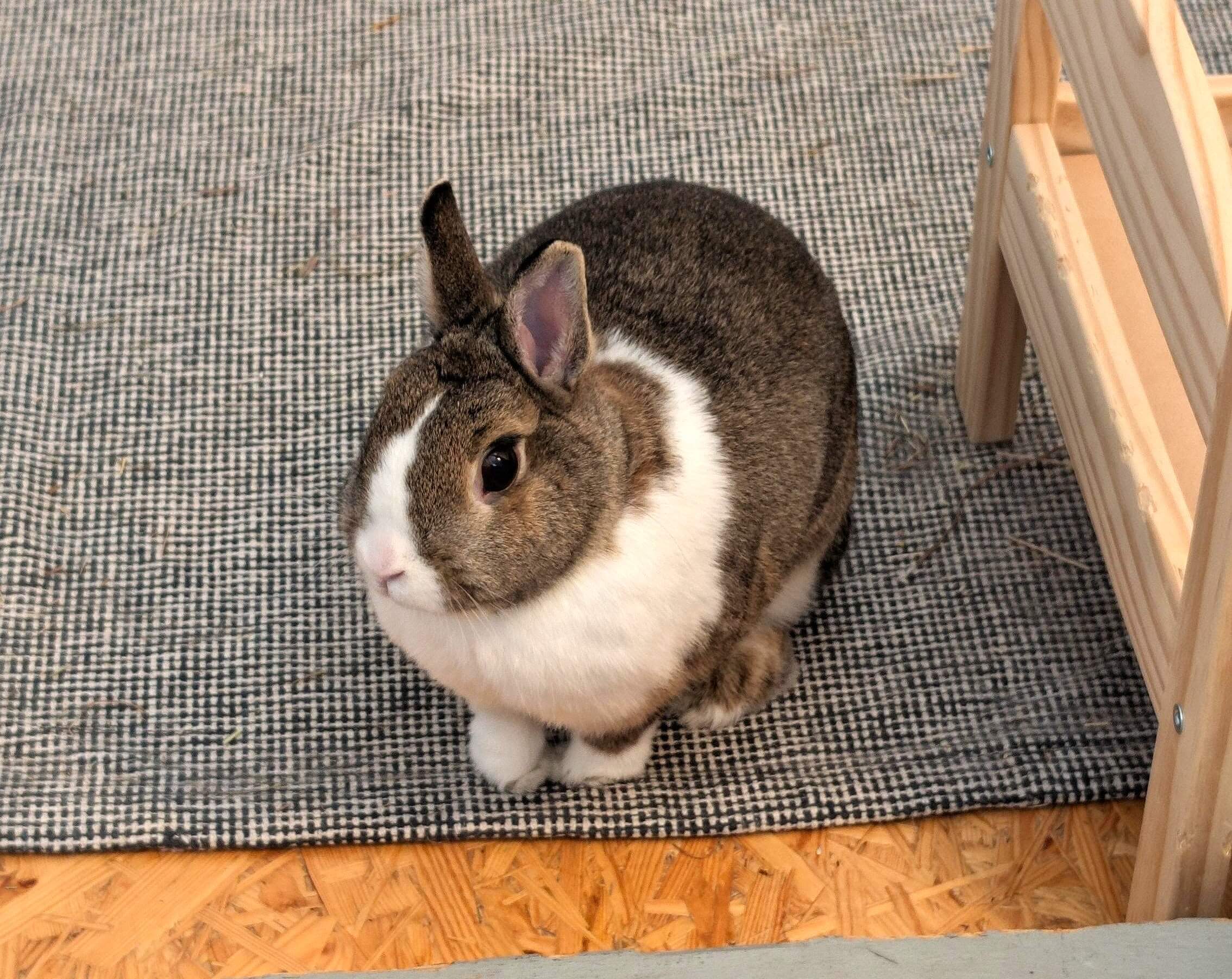 signal 2026 03 03 22 50 32 024