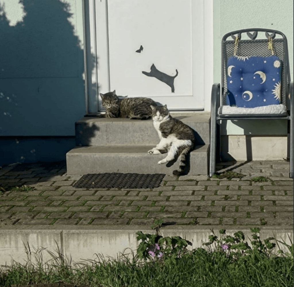 „Max und Moritz“