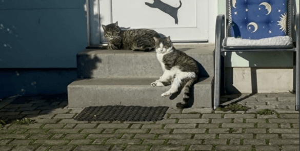 „Max und Moritz“