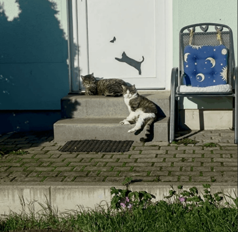 Frühjahrsgrüße 2026 aus Maxen