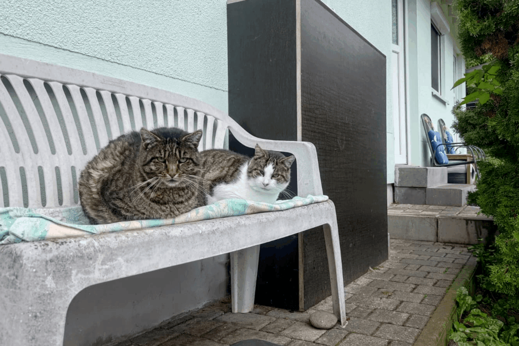 „Max und Moritz“