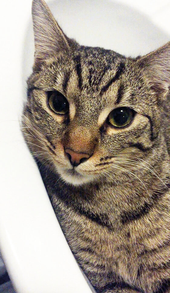 Rudi2