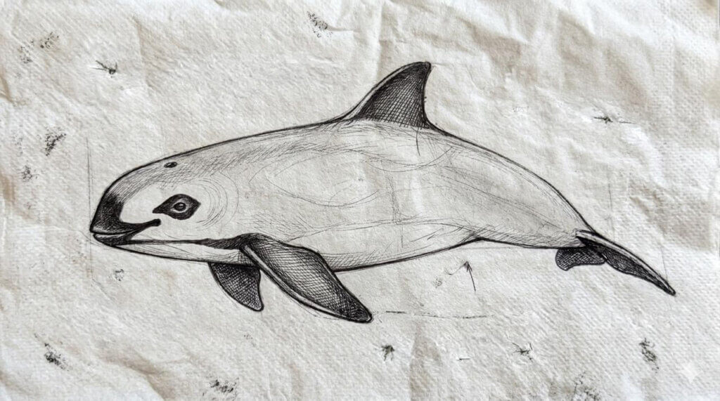 Die letzten ihrer Art – Vaquita, der kleinste Wal der Welt 1 Vaquita-Gemini-KI-generiert