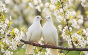 Mehr über den Artikel erfahren Romantik ohne Tierleid: tierfreundliche Alternativen für Hochzeitstraditionen