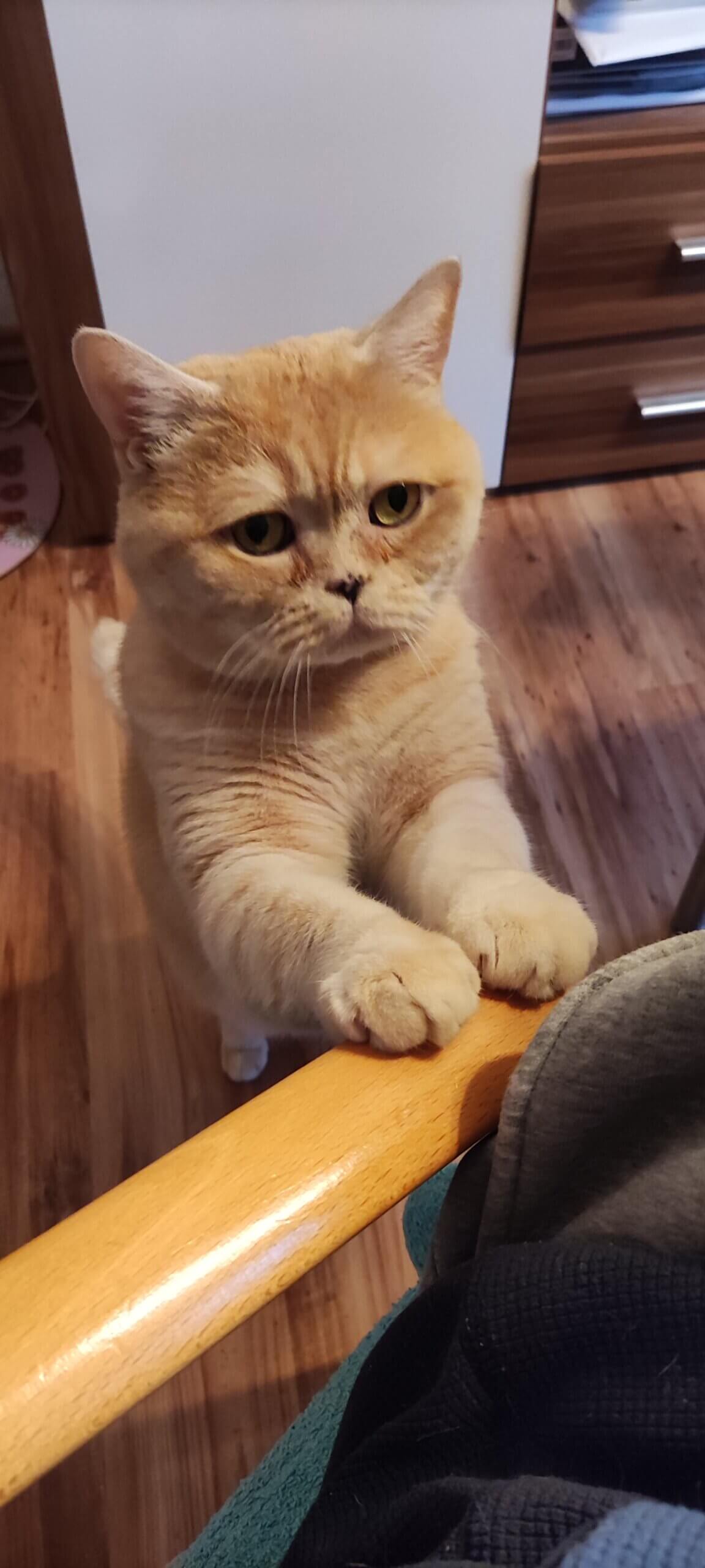 IMG 20210420 195912 scaled